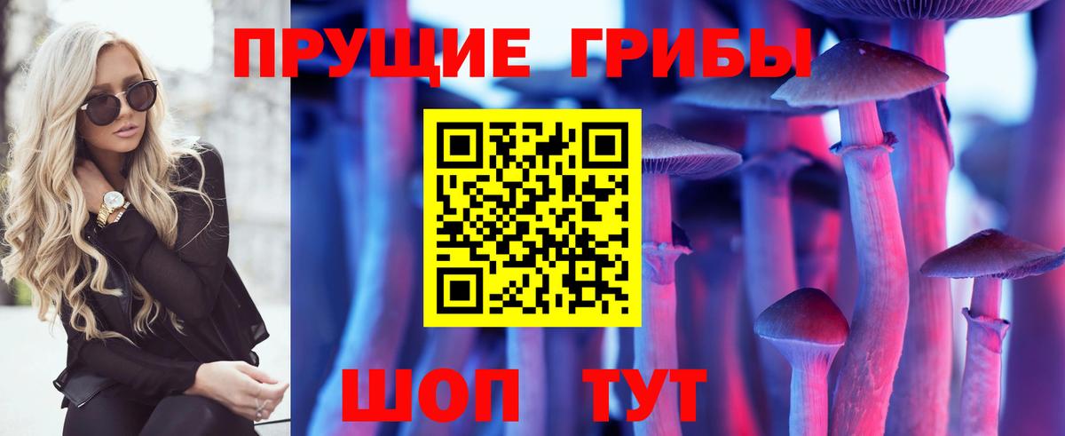 Галлюциногенные грибы Magic Shrooms Нововоронеж
