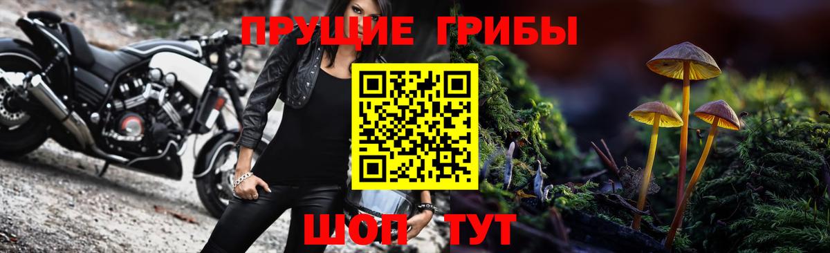Нововоронеж  Галлюциногенные грибы Magic Shrooms  Вход с VPN  Псилоцибиновые грибы Psilocybine cubensis 
