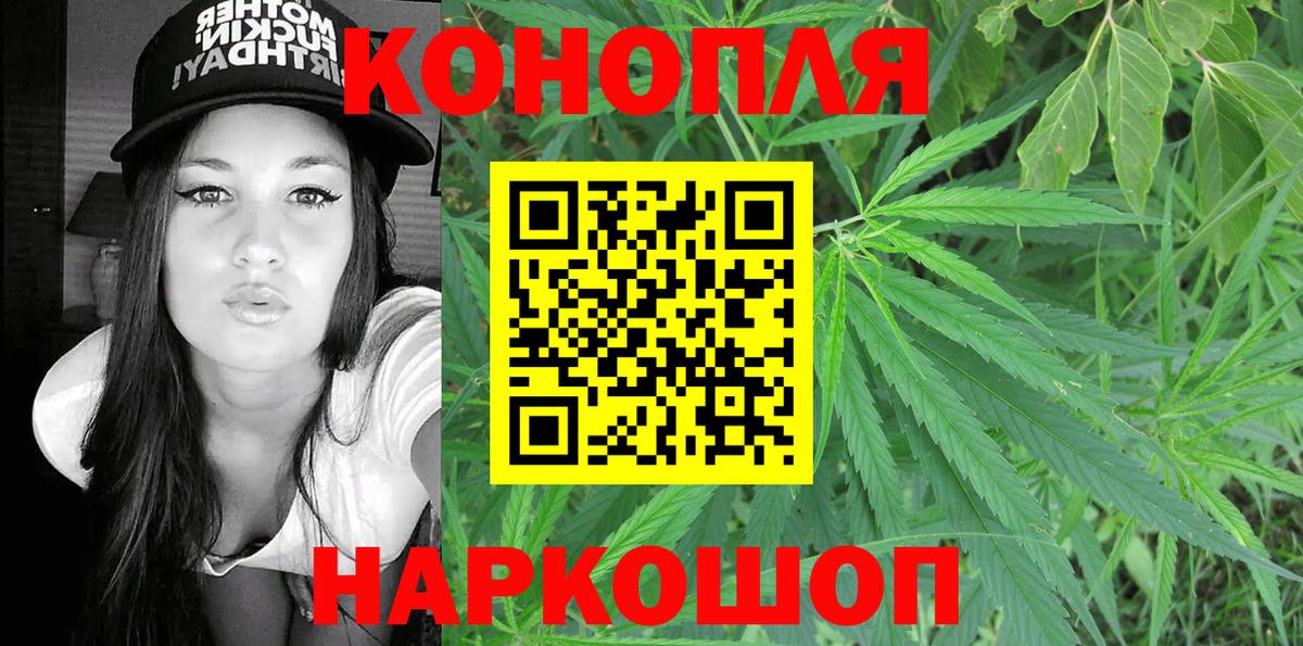 Каннабис планчик Нововоронеж
